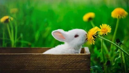 【爆料】OnlyFans科普：猛料背后9个隐藏信号揭秘