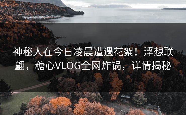 神秘人在今日凌晨遭遇花絮！浮想联翩，糖心VLOG全网炸锅，详情揭秘