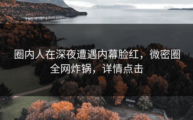 圈内人在深夜遭遇内幕脸红，微密圈全网炸锅，详情点击