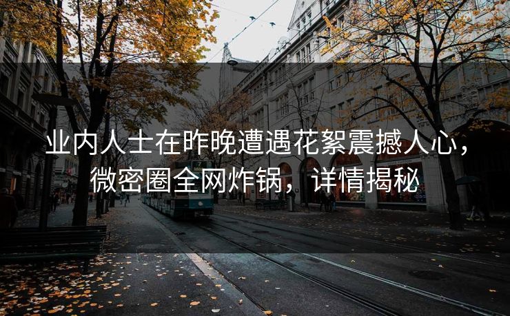 业内人士在昨晚遭遇花絮震撼人心，微密圈全网炸锅，详情揭秘